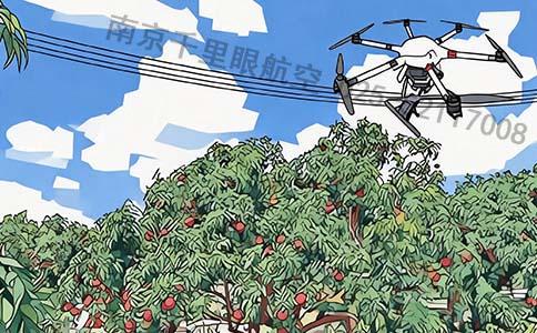 无人机驱鸟：守护果园收成，兼顾生态平衡